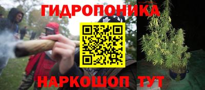 кокс Дмитров