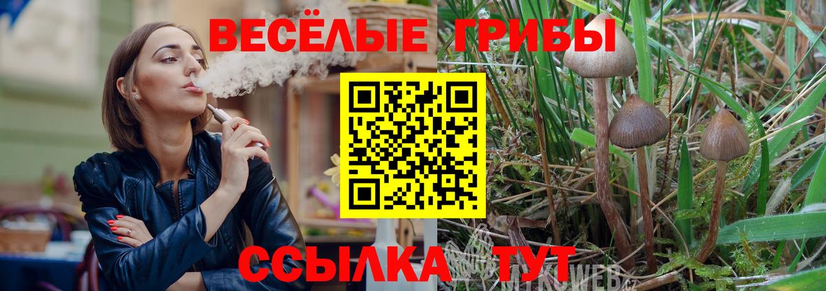 Галлюциногенные грибы MAGIC MUSHROOMS  Вход с VPN  Москва 
